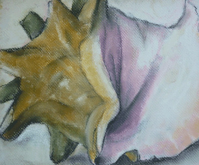 Pastel of a conch shell
