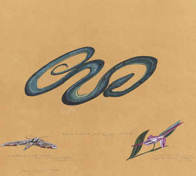 Water color of a snake and two different insects