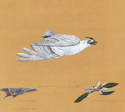 Watercolor of a bird, butterfly, and flower