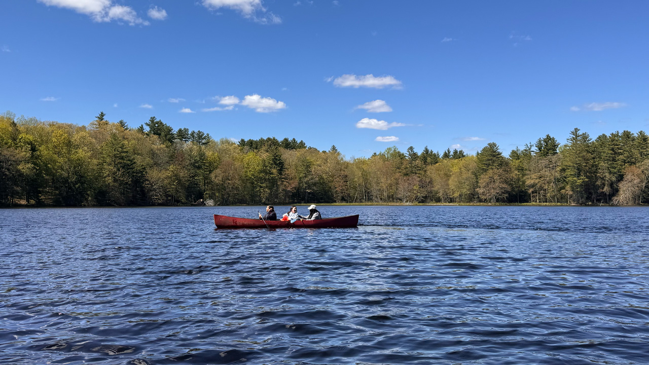 Three Yale graduate students paddle a canoe in a small lake in the Yale-Myers Forest.