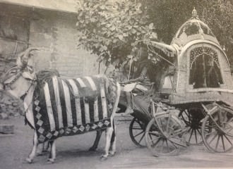 South Asian Photographs Across the Disciplines