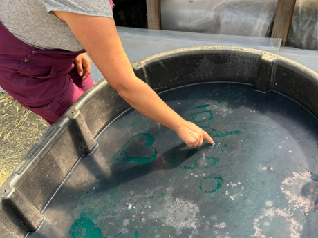 An indigo vat, with someone tracing the word "indigo" into the surface of the dark blue substance.